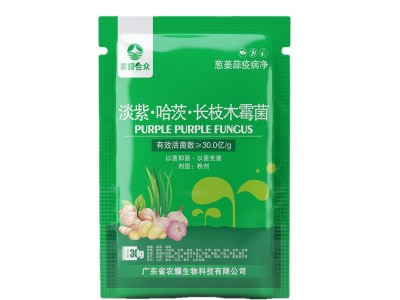 葱姜蒜病全治杀菌剂大蒜 干尖灵 大葱锈病大姜炭疽姜瘟疫病专用药图5
