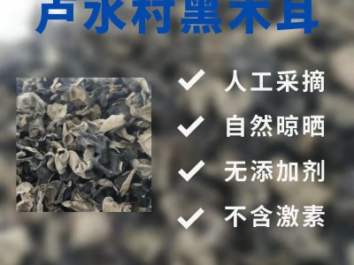 精选木耳批发甘肃农业特产干货干木耳黑木耳包邮500g礼盒装图2