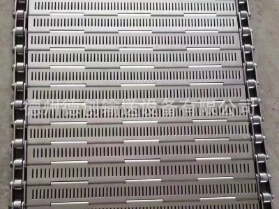 不锈钢冲孔链板果蔬清洗烘干流水线垃圾处理输送线挡板链板传动带图2