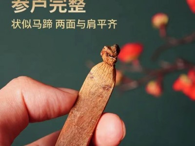 老岭高丽参红参人参长白山人参批发东北特产红参整支批发图4