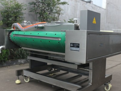 DZ-1100单封条真空包装机鲜玉米 糯玉米真空包装封口机图5