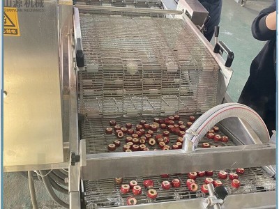 冻干冰糖葫芦裹糖机 全自动上糖浆机设备 嘎嘣脆空心山楂上糖机图5