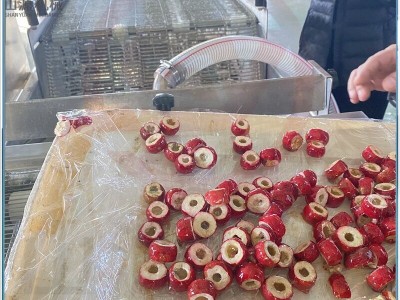 冻干冰糖葫芦裹糖机 全自动上糖浆机设备 嘎嘣脆空心山楂上糖机图4