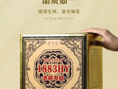 福鼎白茶叶芽泉磻溪吴洋山老树寿眉398克2018年寿眉白茶图3