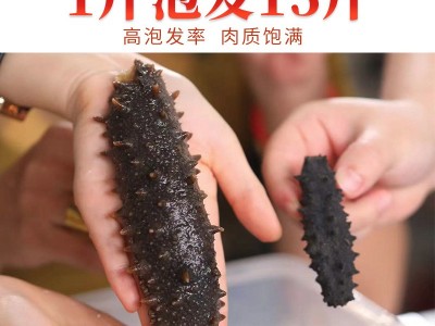 董滋堂淡干海参 9年海参干货 深海刺参 干海参礼盒装图3