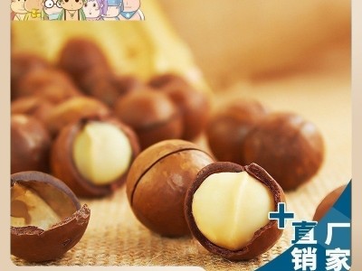 夏威夷果500g克一袋坚果奶油味原味送开果器儿童零食品一件代批发图1