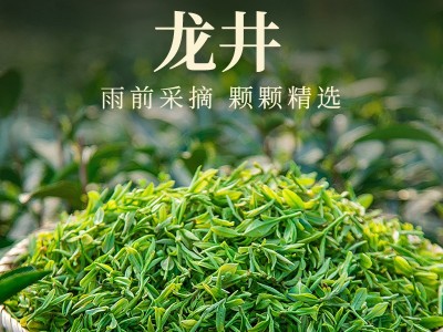 碧螺春2023新茶明前正宗高山绿茶浓香春茶礼盒装！茶叶礼盒装360g图5