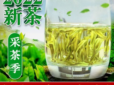 2022年新茶凤型高山白茶明前雨前高性价比叶白脉绿批发货源代发图2