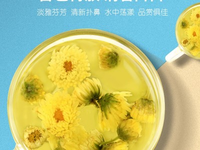 忆江南花茶 花草茶 桐乡胎菊浙江白菊花 菊花茶50g 厂家直销图2