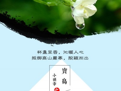 茉莉花乌龙窨花鲜花芬芳奶香花果饮料茶金萱高山茶500克散装图3