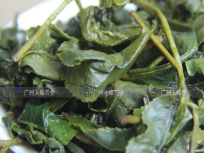奶香金萱牛奶香味甜蜜浓郁高山茶台式乌龙milk flavor oolong图4