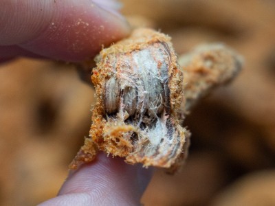 猪肉片批发厂家散装手撕猪肉脯食品展会景区特产风干牛肉干零食图4