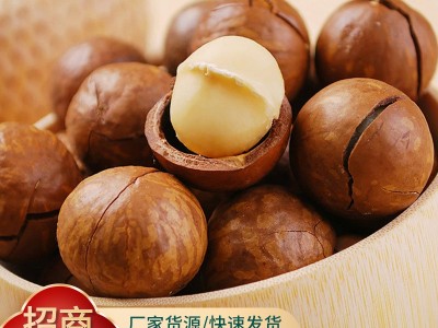 夏威夷果薄皮坚果批发100g代发 奶香坚果零食干果薄壳夏威夷果仁图2