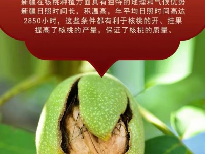 手剥烤核桃草本奶香多种口味休闲坚果零食支持批发代发图2