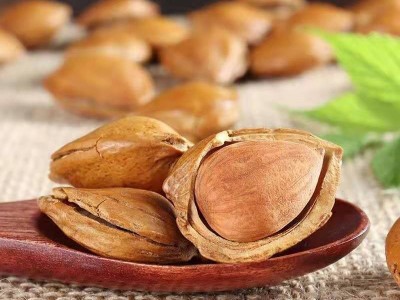 杏仁批发新货开口杏核坚果杏胡薄壳杏核坚果休闲大零食批发图4