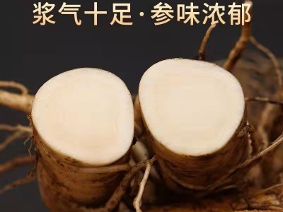 鲜参长白山新鲜人参带土圆参白参批发泡酒料煲汤大人参批发土特产图3