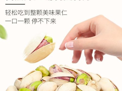 农香森开心果原色无漂白罐装盐焗特大颗粒批发散装烘焙孕妇坚果干图3