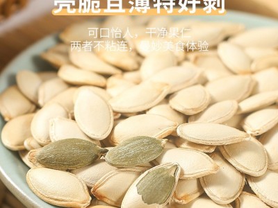 厂家批发盐焗五香味南瓜子新货现炒休闲零食瓜子特产代发年货坚果图4