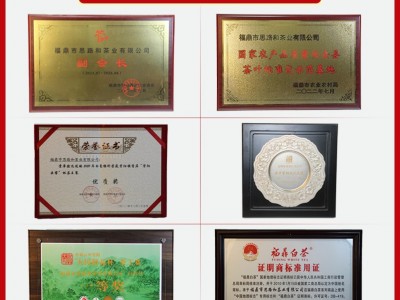 2017年福鼎白茶饼茶叶陈年老白茶老寿眉茶饼300g福鼎管阳实力厂家图4
