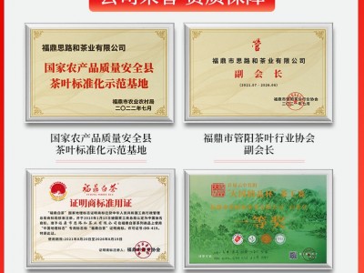 福鼎白茶 礼盒装2019年小方片饼干泡袋装管阳高山产区 老白茶批发图4