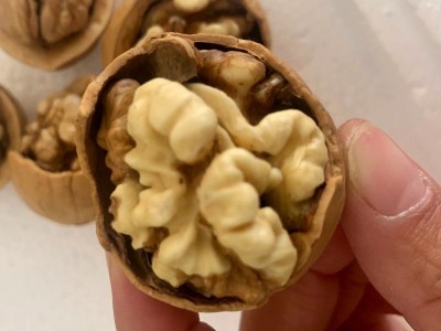 熟核桃批发 草本味手剥核桃 纸皮熟核桃 20斤坚果零食批发图4