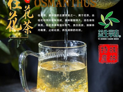 桂花干花益生享寿金桂花茶低温脱水桂花食用甄品花茶广西特产批发图3