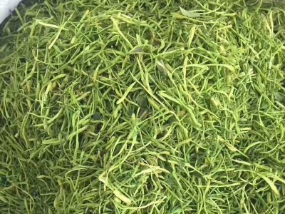 花草茶批发金银花茶批发供应金银花 湖南优质花蕾开花金银花干货图3