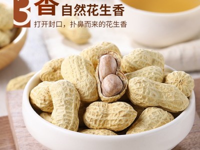 年货礼品 批发特产休闲坚果食品陈皮花生 带壳新会陈皮味花生零食图4