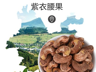 森林老爹紫皮腰果150g罐装坚果干果零食盐焗带皮越南紫衣果仁图4