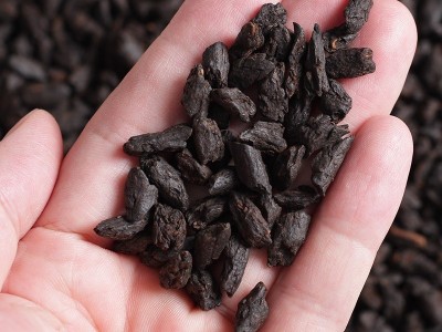 糯米香碎银子茶化石十年云南普洱茶熟茶大树散茶老茶头茶叶图4