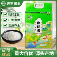 汉中天丰缘鱼稻米定制大米香米新米源头厂家新米5kg真空包装批发