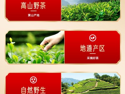 散装黄山毛峰新茶2023手工捏尖散装安徽特级高山绿茶雨前茶叶批发图4