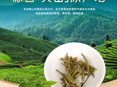 新茶安徽黄山毛峰高山绿茶浓香揉捻茶袋装散装批发源头厂家图3