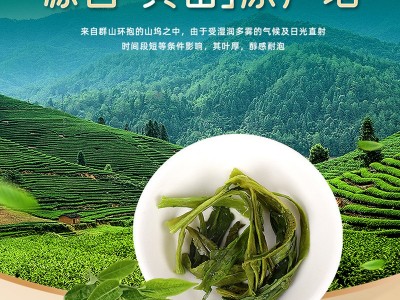 黄山太平猴魁23年新茶绿茶茶叶袋装工捏尖布尖散装批发图3