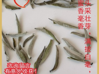 工厂直供福建白毫银针2022年春茶预订大白茶白毫银针图5