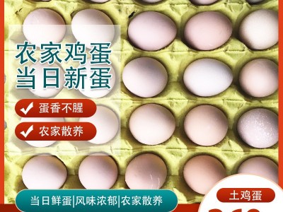 土鸡蛋360枚农家散养鸡蛋农家散养土鸡蛋新鲜草鸡蛋柴鸡蛋图1