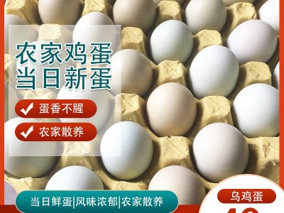 乌鸡蛋40枚农家散养鸡蛋农家散养土鸡蛋新鲜草鸡蛋柴鸡蛋图1