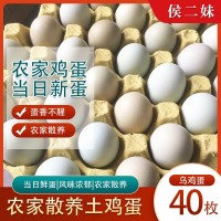 乌鸡蛋40枚农家散养鸡蛋农家散养土鸡蛋新鲜草鸡蛋柴鸡蛋