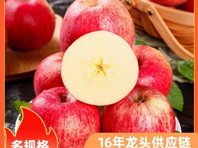 【礼盒/果规加工定制】甘肃红富士苹果图1