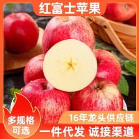 【礼盒/果规加工定制】甘肃红富士苹果