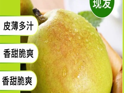 新疆库尔勒香梨皮薄肉厚脆嫩爽口当季新鲜水果整箱包邮图2