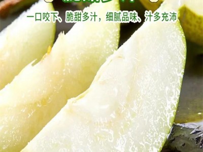 新疆库尔勒香梨皮薄肉厚脆嫩爽口当季新鲜水果整箱包邮图4