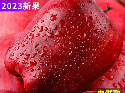 甘肃天水花牛苹果糖心红蛇粉面苹果当季新鲜水果图3