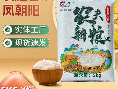 农家新米5kg长粒香米四川大米香米长粒米粳米10斤大米米珠图3