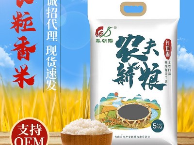 农家新米5kg长粒香米四川大米香米长粒米粳米10斤大米米珠图4
