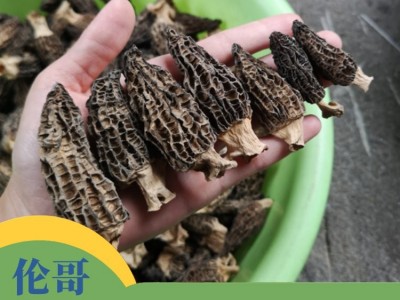 羊肚菌干货散装野生菌菇特产 煲汤食材 现货批发图5