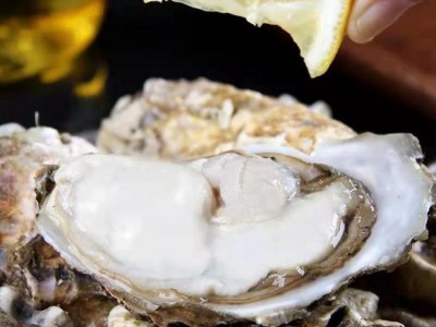不带壳新鲜活剥大生蚝肉 牡蛎肉 海蛎子 口感细腻 肥沃丰腴 袋装批发图4