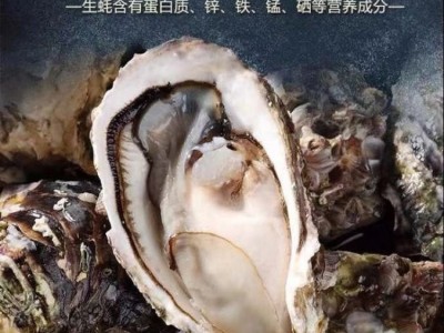 不带壳新鲜活剥大生蚝肉 牡蛎肉 海蛎子 口感细腻 肥沃丰腴 袋装批发图1