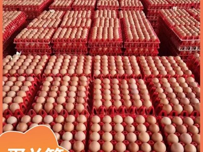 健康新鲜富硒鸡蛋 含硒农家鸡蛋鲜鸡蛋 蛋总管 深山散养鸡图4