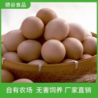 德谷食品_农家草鸡蛋礼盒_营养价值高_厂家直供
